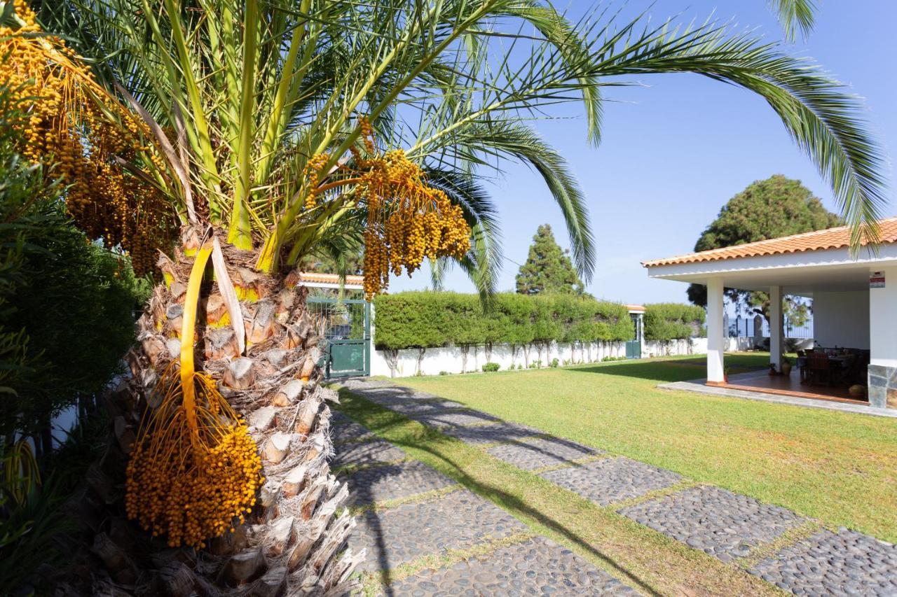 Finca La Vizcondesa Icod De Los Vinos Bagian luar foto