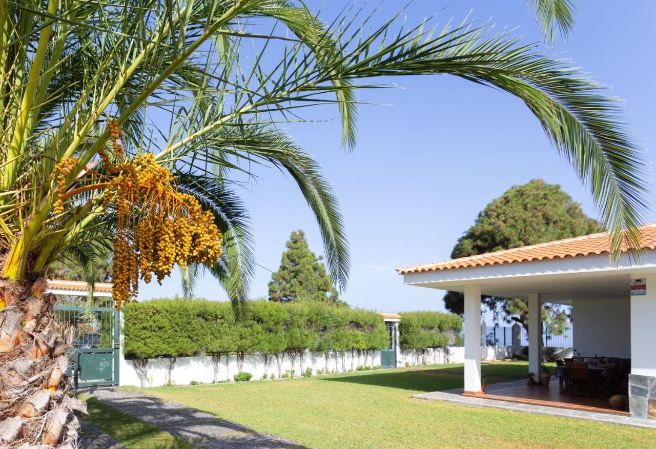 Finca La Vizcondesa Icod De Los Vinos Bagian luar foto